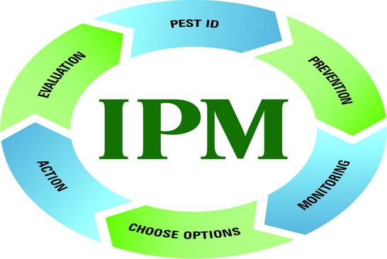Homepage 7 environmentally friendly pest control