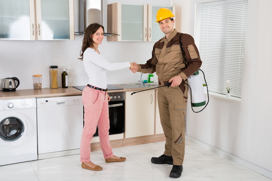 Residential 3 Pest control technician in home