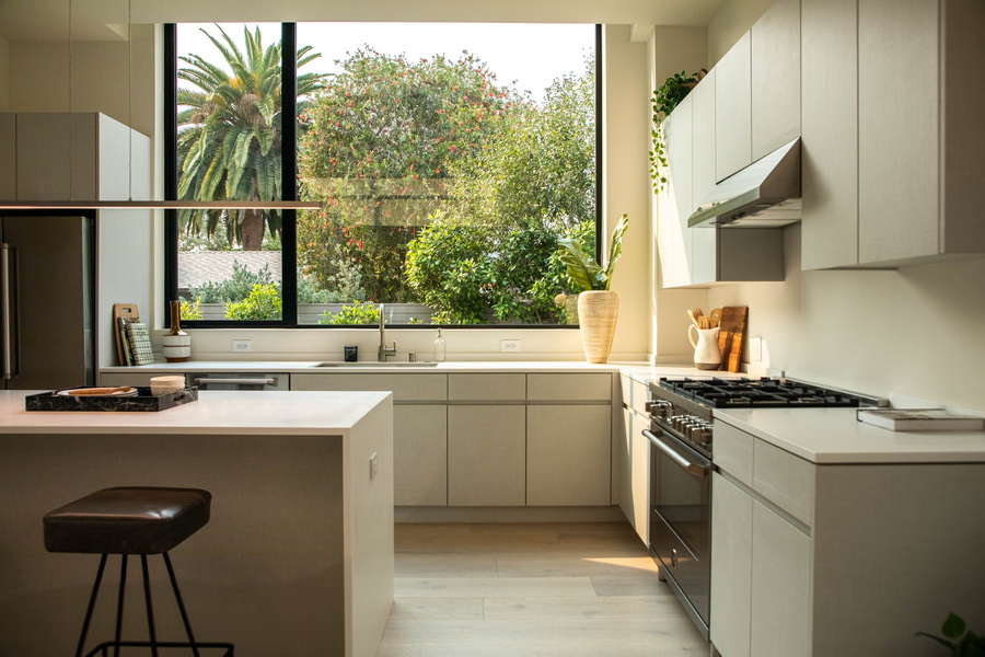 Residential 1 kitchen area pest control