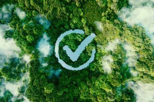 Homepage 7 environmentally friendly pest control